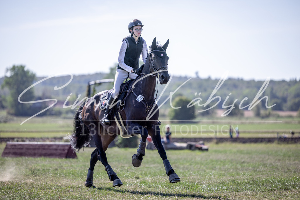 20260906-_3LI3127 | Tierfotografie Pferde, Hunde, Katzen, Haustiere.
Turnierfotografie Reitturniere, Reiten, Springreiten, Dressur in Hanau, dem Main-Kinzig-Kreis und dem Rhein-Main- Gebiet um Frankfurt