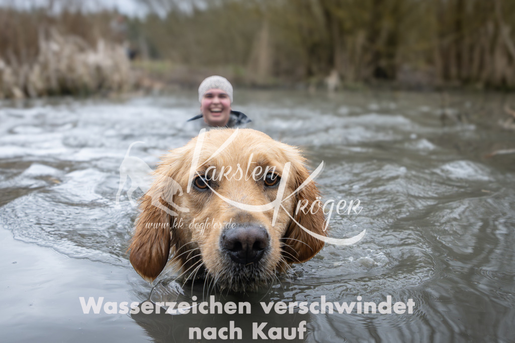 1000_ZZ94717 | kk-dogfotos