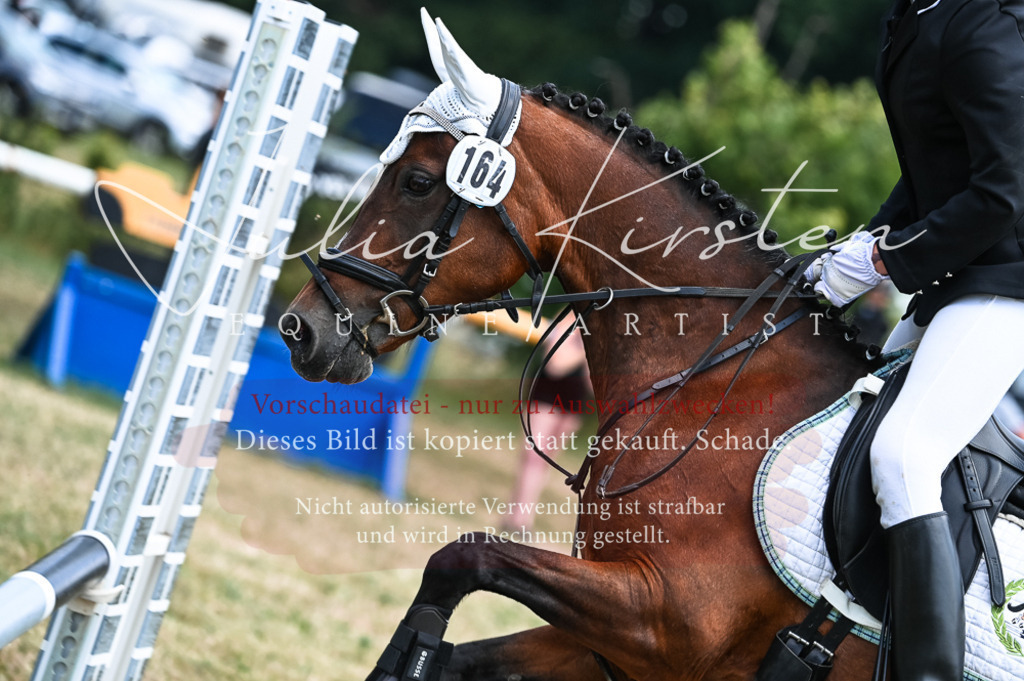 DSC_9800 | Pferde- und Turnierfotografie in Westsachsen. Pferdeportraits, Auftragszeichnungen und intuitive Kunst.