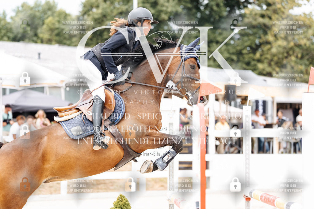 CK906240 | Turnierfotografie Pferdefotografie Trier Rheinland-Pfalz Pferdesport Reitsport Tierfotografie Sportfotografie Pferdevideo Pferdevideografie Equestrianvideography equestrianphotography  - Realisiert mit Pictrs.com