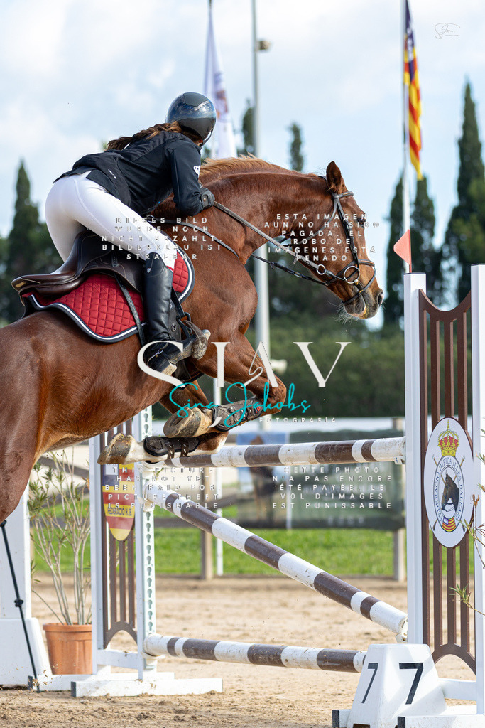 IMG_2014 | s-jay-photography - Realisiert mit Pictrs.com