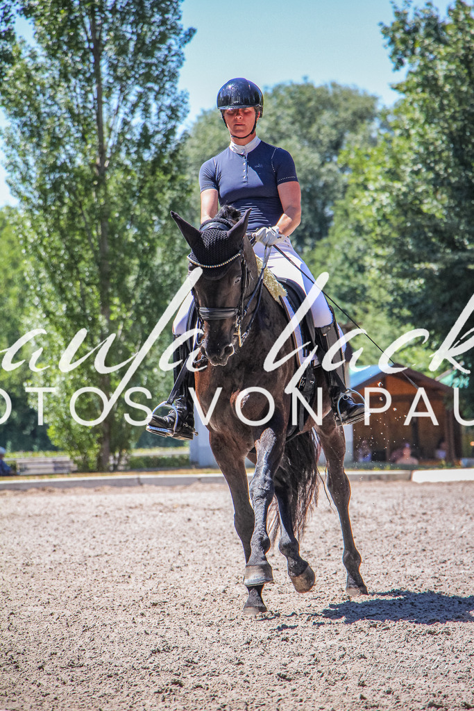 IMG_1283 | Erleben Sie dynamische Sport- und emotionale Tierfotografie in Süddeutschland mit Fotos von Paula. Spezialisiert auf Pferde- und Hundefotografie sowie Sportevents. Kontaktieren Sie mich für einzigartige und ausdrucksstarke Bilder Ihrer besonderen Momente. - Realisiert mit Pictrs.com