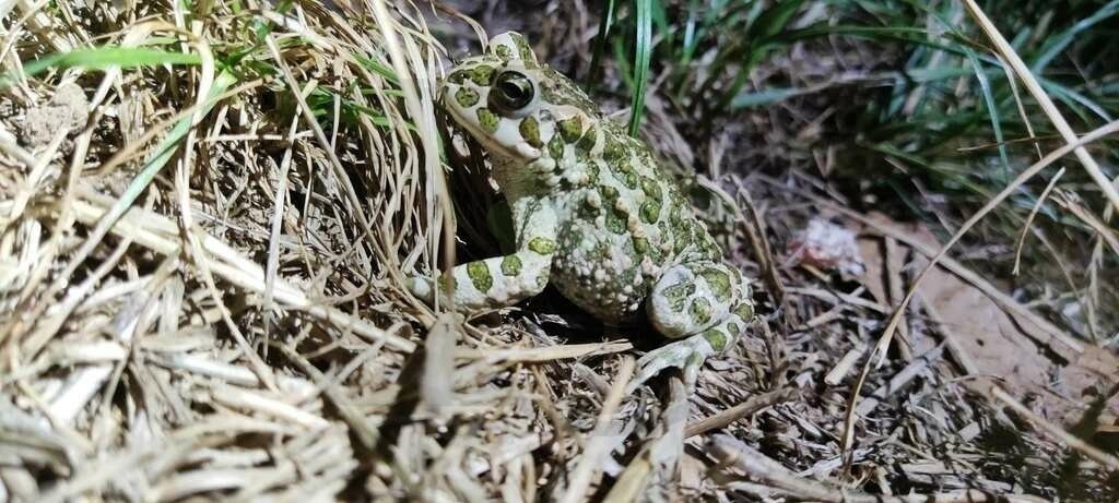 IMG_20220905_212343 | pfalznatur - Realisiert mit Pictrs.com