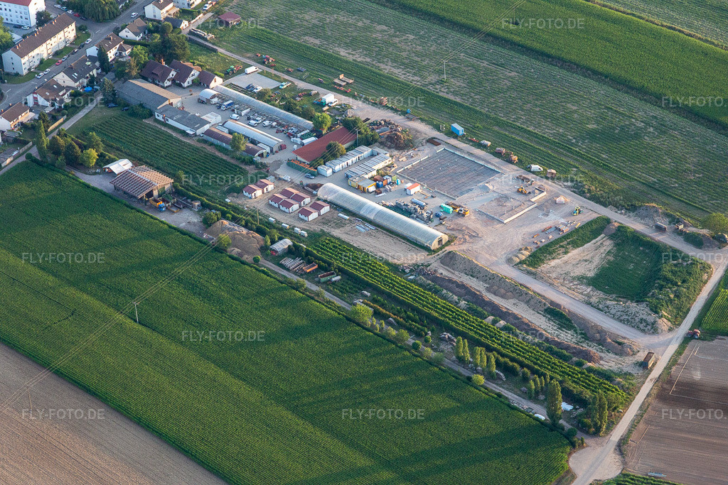 Luftbild: Kugelmann Biogemüße in Kandel im Bundesland Rheinland-Pfalz in Deutschland. Foto: IMG_121063.jpg vom 23.07.2020 durch Werner Riehm/FLY-FOTO.de