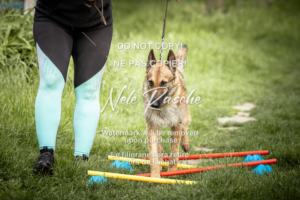 nelerasche_So-earlydog_33 | nelerasche