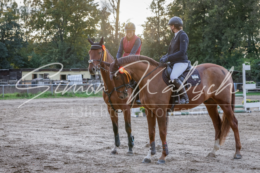 20251012-_3LI5921 | Tierfotografie Pferde, Hunde, Katzen, Haustiere.
Turnierfotografie Reitturniere, Reiten, Springreiten, Dressur in Hanau, dem Main-Kinzig-Kreis und dem Rhein-Main- Gebiet um Frankfurt