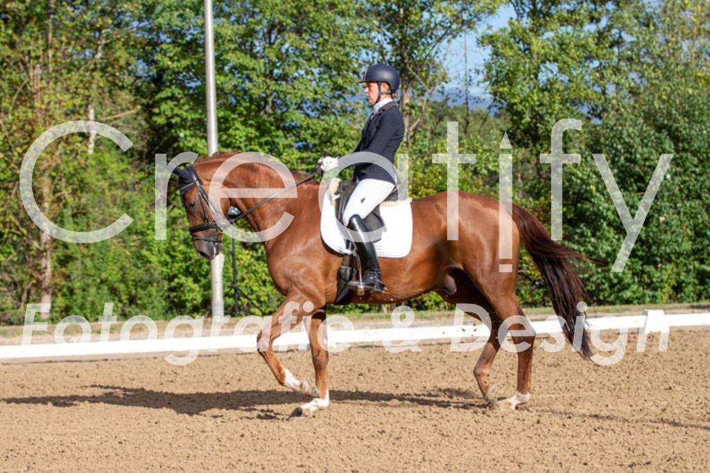 IMG_4771 | Creatify Fotografie