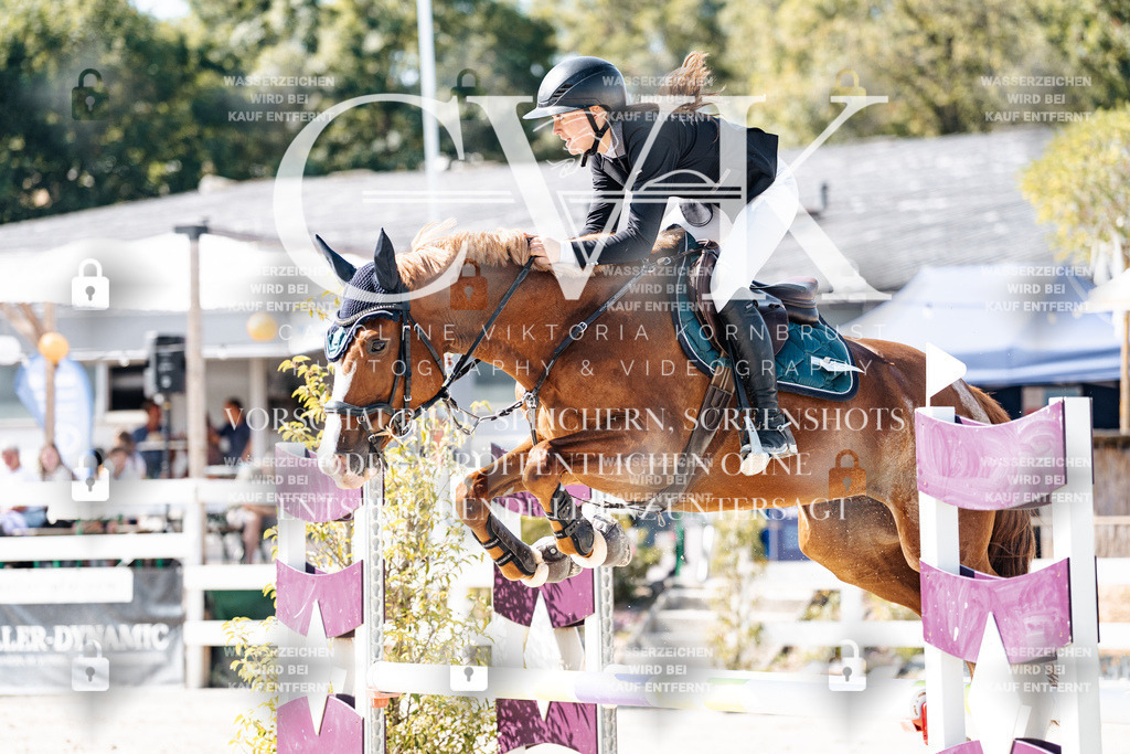 CK908251 | Turnierfotografie Pferdefotografie Trier Rheinland-Pfalz Pferdesport Reitsport Tierfotografie Sportfotografie Pferdevideo Pferdevideografie Equestrianvideography equestrianphotography  - Realisiert mit Pictrs.com