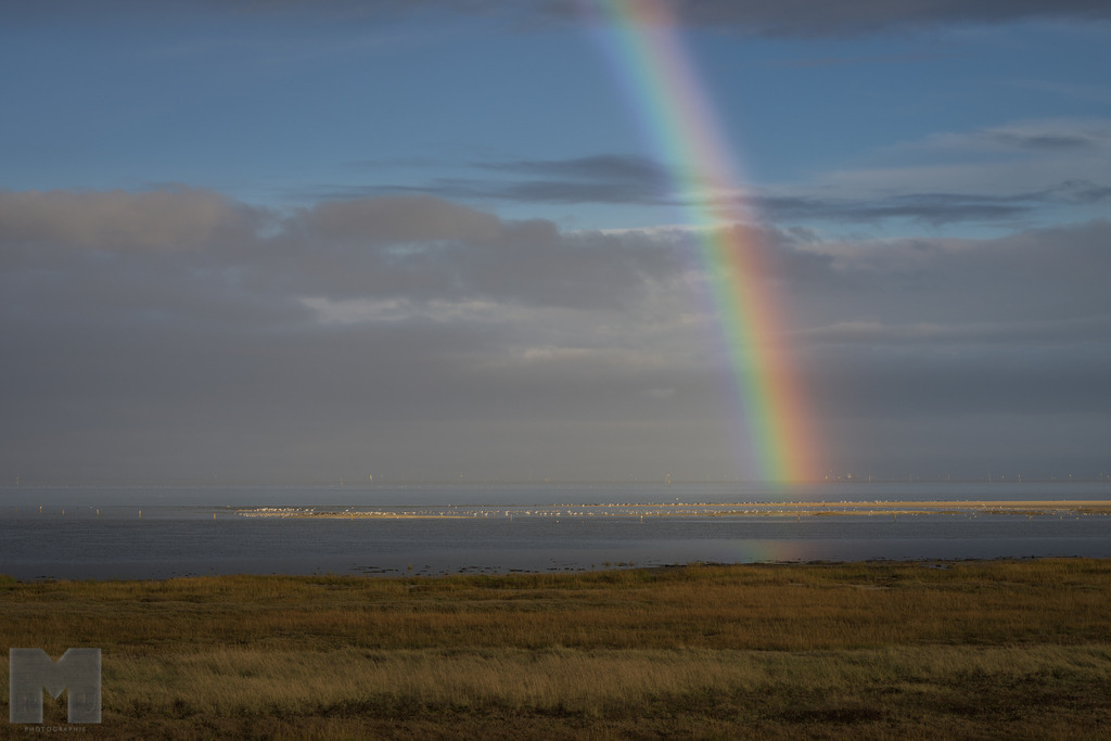Regenbogen im Wattenmeer | Landschafts- und Tierfotografie zu allen Jahreszeiten. Und immer die Schönheit des Lichtes im Auge... - Realisiert mit Pictrs.com
