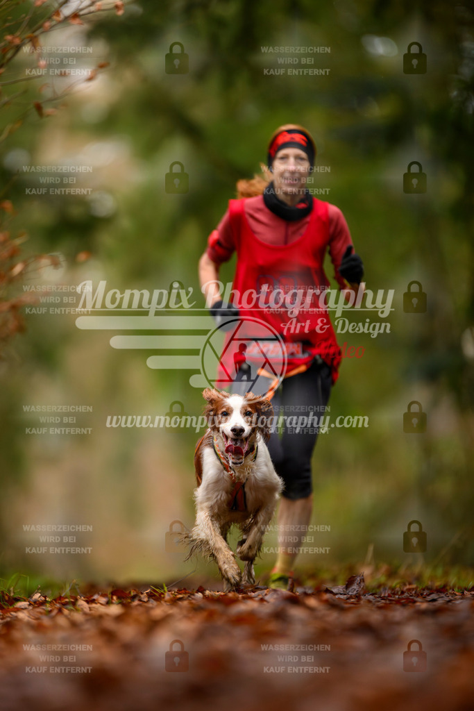 MompixPhotography_2SSTSSBW_2025_SO_Canicross-47 | PayLife
