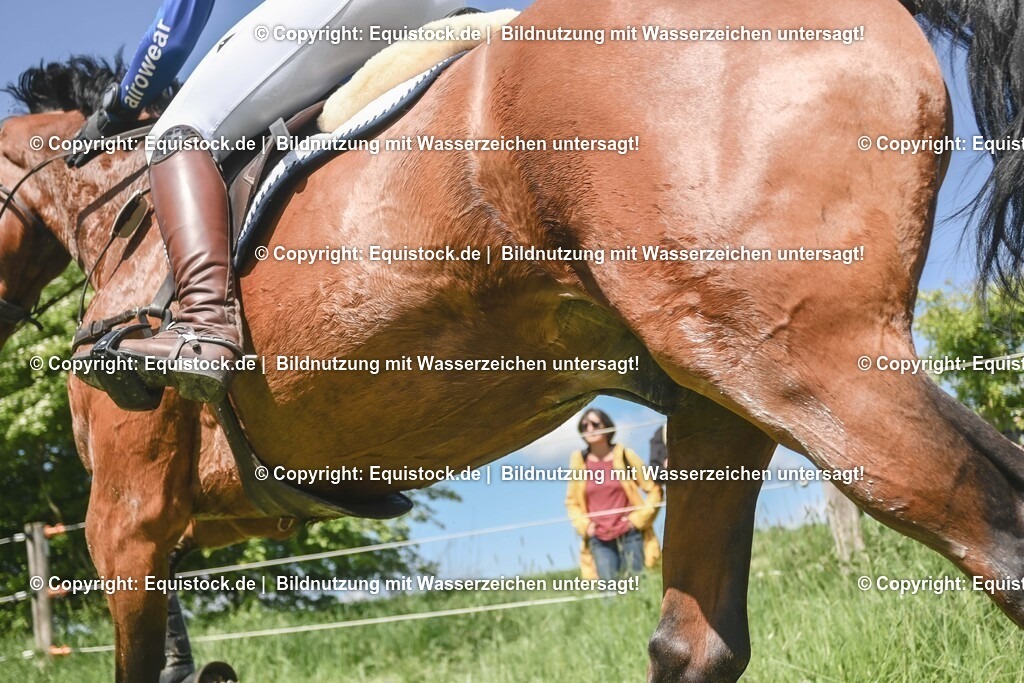 20250517_CCI2_Gelände_1602 | Foto: Thomas Hartig