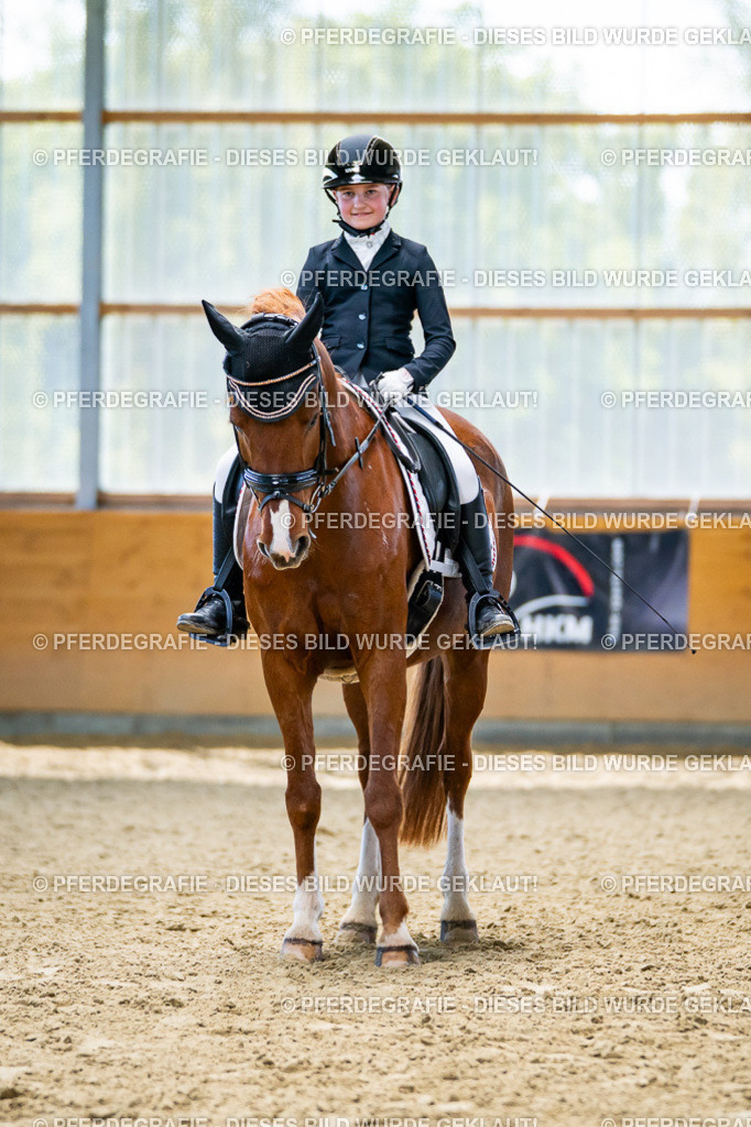 DSC05156 | Pferdegrafie