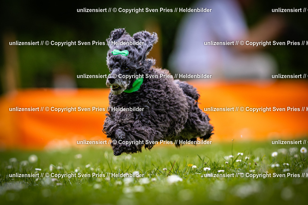 Sven Pries | 2025-05-29 - Pudelrennen KA-Durlach - Realisiert mit Pictrs.com