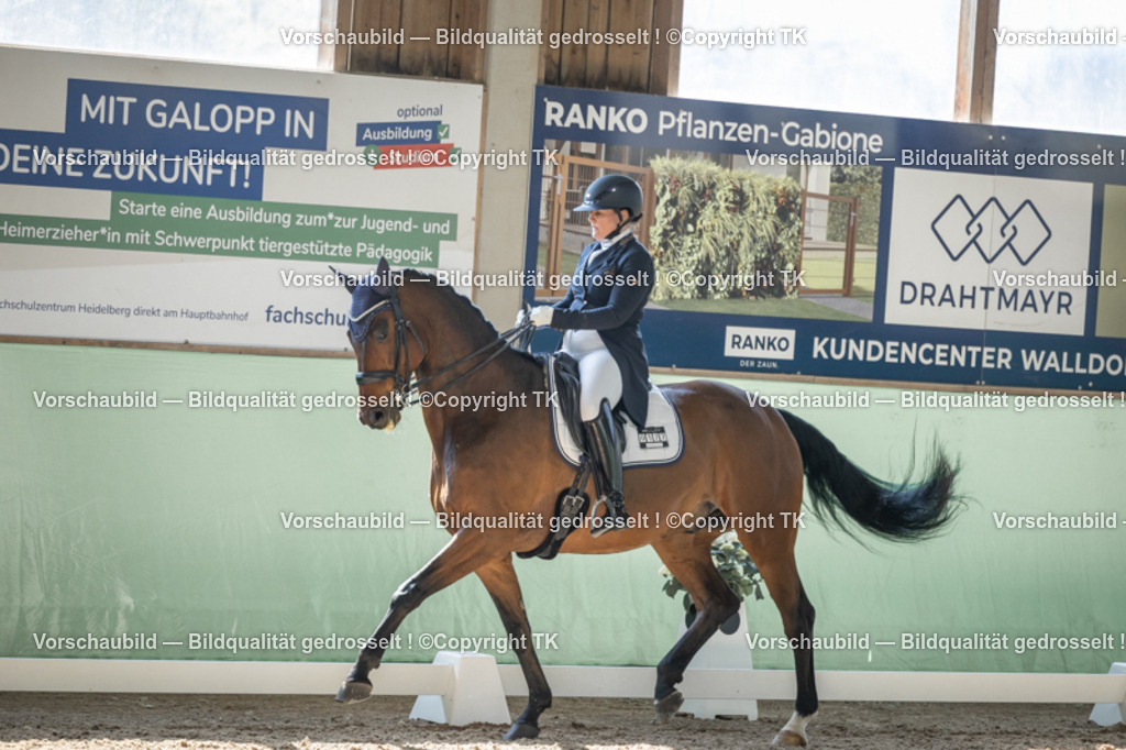 _D5A9301 | Emotionale Pferde- & People-Fotografie rund um Heidelberg, Leimen & Umgebung. Natürliche Fotos von Pferd, Mensch & Familie. Jetzt Termin sichern!