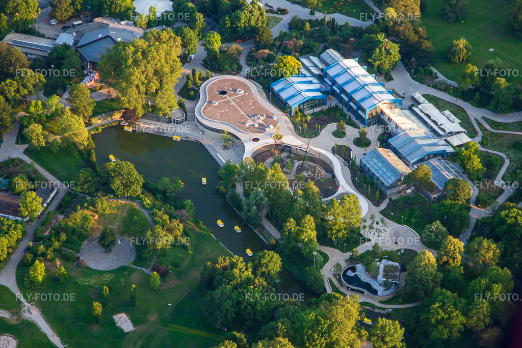 Pflanzenschauhaus (Botanischer Garten) im Luisenpark, Teil der Bundesgartenschau 2023 BUGA23 http://www.luisenpark.de/ https://www.buga23.de/ | Luftbild: Pflanzenschauhaus (Botanischer Garten) im Luisenpark, Teil der Bundesgartenschau 2023 BUGA23 http://www.luisenpark.de/ https://www.buga23.de/ im Ortsteil Oststadt in Mannheim im Bundesland Baden-Württemberg in Deutschland. Foto: IMG_137170.jpg vom 24.06.2023 durch ©2025 Werner Riehm fly-foto.de/copyright - Realisiert mit Pictrs.com