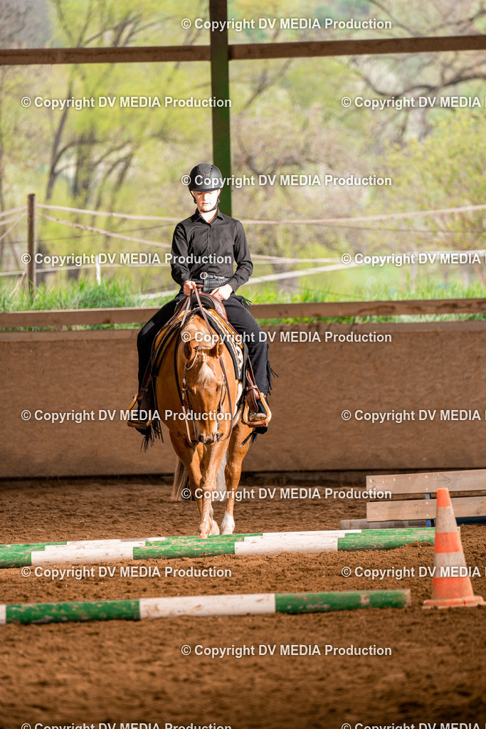 BA300325 | dv-media-shop - Realisiert mit Pictrs.com