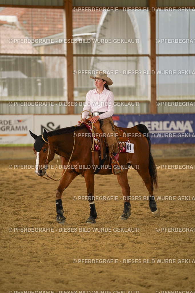 DSC08435 | Pferdegrafie