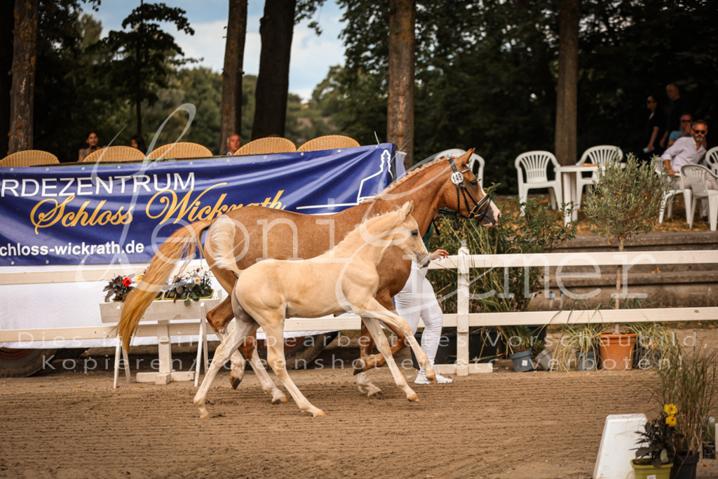 07.So00009 | Leoni Ertmer Photography - Realisiert mit Pictrs.com