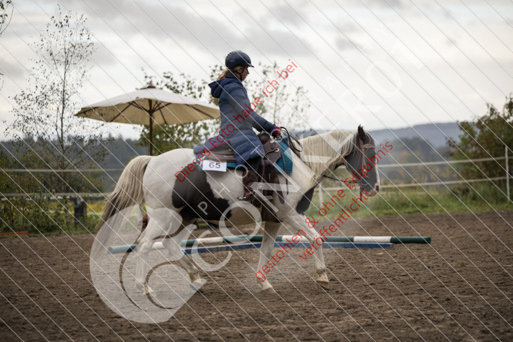 CON_8753 | Sport-, Event- und Tierfotos in Profiqualität. Einfach auswählen, bestellen und herunterladen. Dein Moment – perfekt festgehalten.