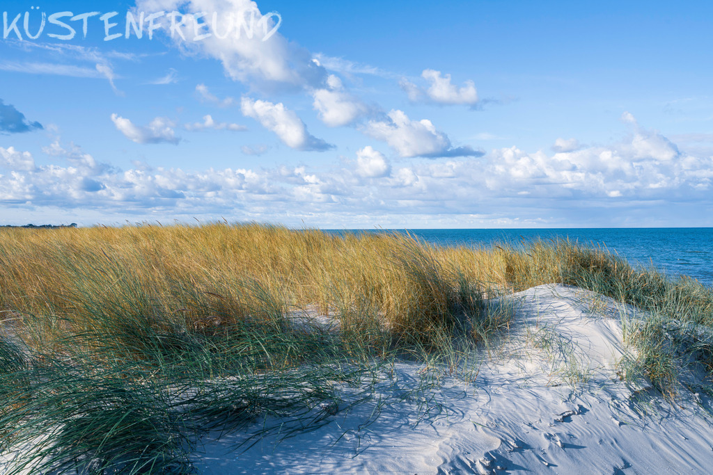 Dünenbild mit sanfter Meeresbrise – Ostsee Bilder | Dieses Wandbild zeigt ein stimmungsvolles Dünenbild, in dem zartes Dünengras in einem sanften Farbverlauf von warmem Strohgelb zu lebendigem Grün am Rand übergeht. Eine leichte Meeresbrise weht darüber hinweg, während im Hintergrund die blaue Ostsee unter einem Himmel mit zarten Wolken erstrahlt. Der feine, trockene Sand der Düne fällt weich und geschmeidig wie Zuckersand an der Seite hinab und vermittelt natürliche Idylle – perfekt für alle, die Ostsee Bilder lieben.<br><br><strong>Tipp:</strong> Statt das klassische Querformat zu wählen, kannst du dieses Dünenbild auch ganz flexibel zuschneiden – ob als quadratisches Wandbild, Hochkantformat oder Panorama. So passt dein persönliches Ostsee Bild perfekt in jeden Raum und wird zum individuellen Highlight an deiner Wand.