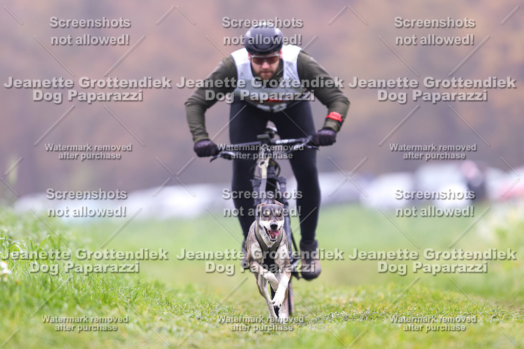 Dog Paparazzi - Visbeck 25 -213 | Dog Paparazzi Jeanette Grottendiek Fotografie & Videografie - Realisiert mit Pictrs.com
