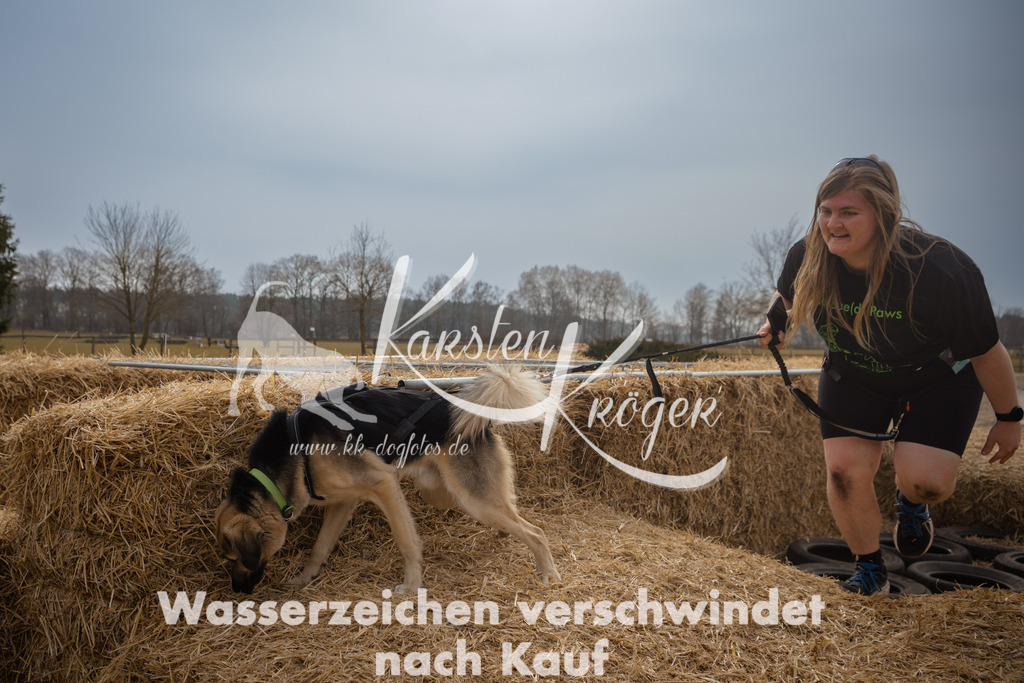 1225_ZZ95784 | kk-dogfotos