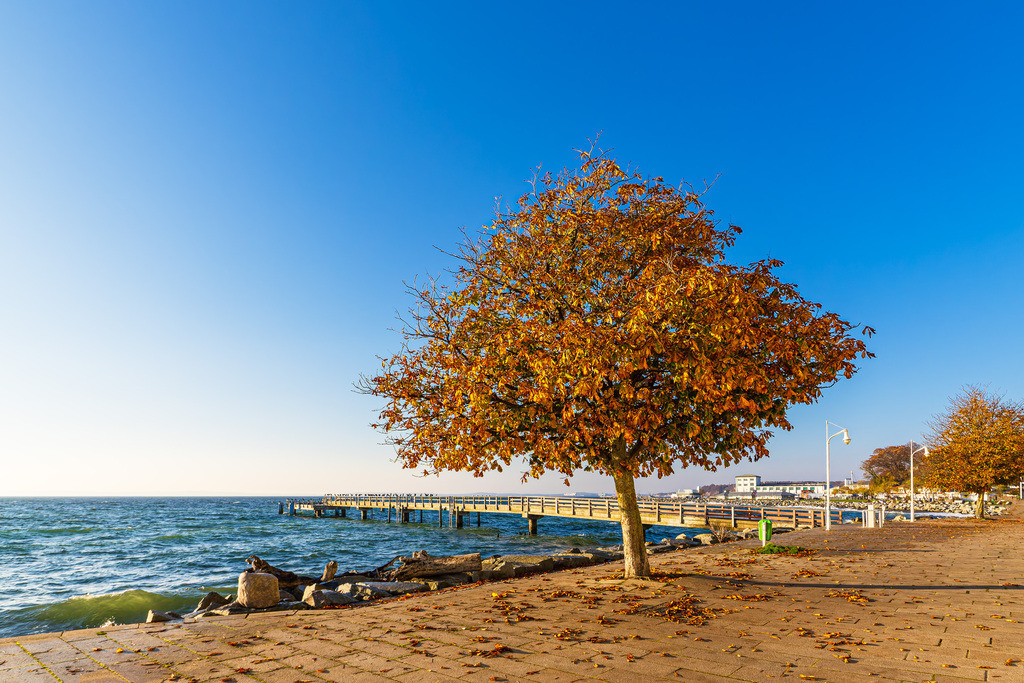 Promenade und Seebrücke im Herbst in der Stadt Sassnitz auf der Insel Rügen | Promenade und Seebrücke im Herbst in der Stadt Sassnitz auf der Insel Rügen.