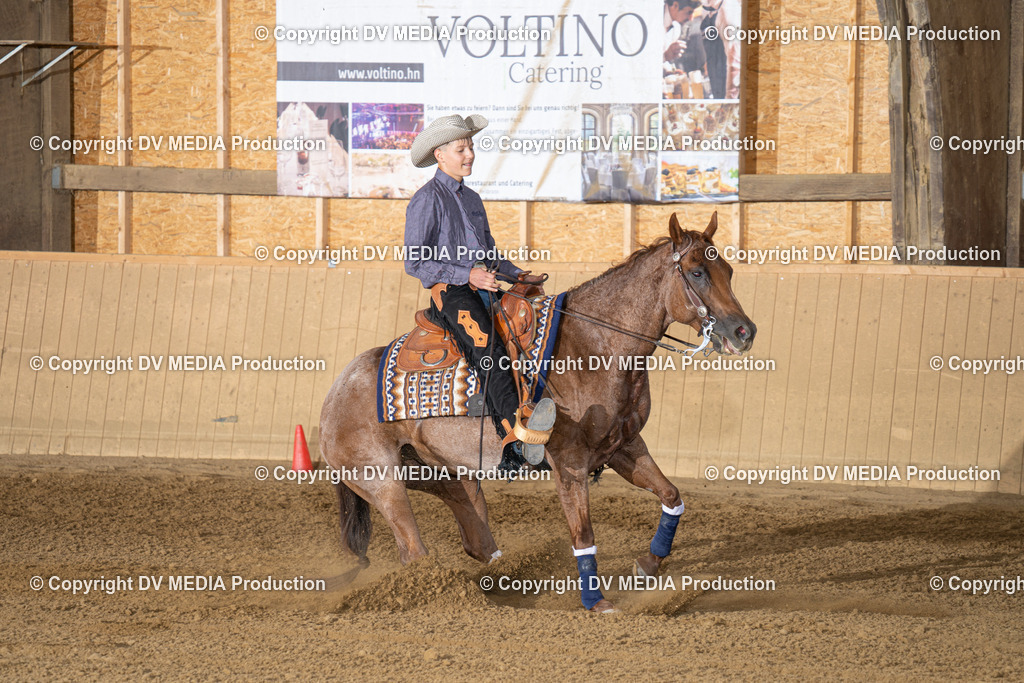 DSC00153 | dv-media-shop - Realisiert mit Pictrs.com