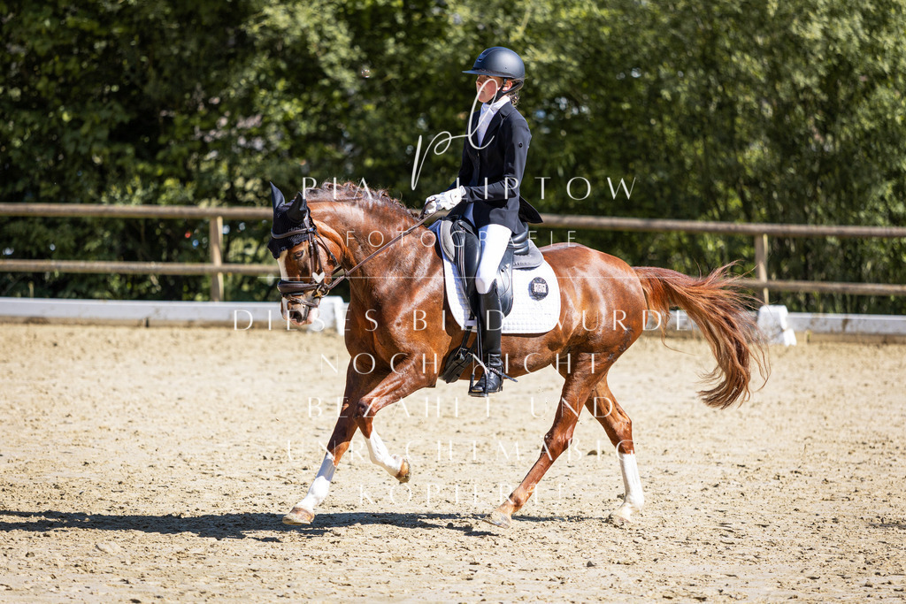 IMGT0119 | pl-fotografie