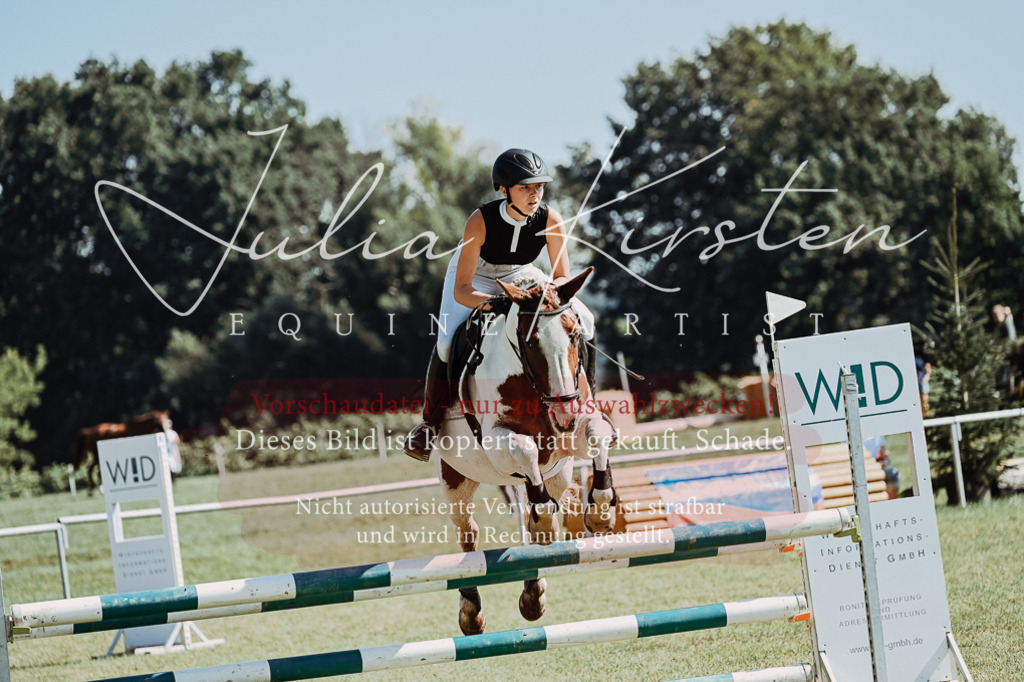 DSC_6051 | Pferde- und Turnierfotografie in Westsachsen. Pferdeportraits, Auftragszeichnungen und intuitive Kunst.