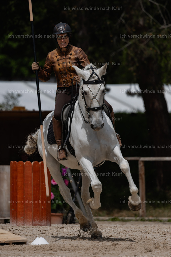 PI26_SP_StoibphotographyC2_C1449.jpg | working equitationturnier fotograf videograf stoibphotography marixx film working equitation deutschland reitsport turnierfotografie eventfotografie equestrian events