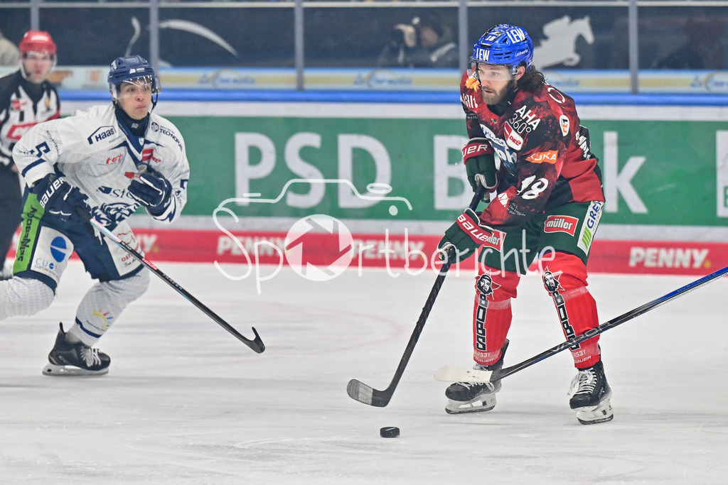 Augsburger Panther - Straubing Tigers | im Duell Nicolas GEITNER (Straubing Tigers 5) und Anthony LOUIS (Augsburger Panther #18) / Zweikampf / DEL: Augsburger Panther - Straubing Tigers, Curt Frenzel Stadion am 29.11.2024