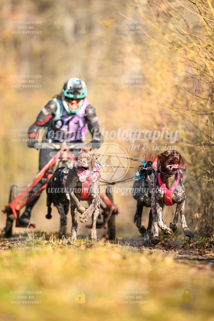 MompixPhotography_Schwabentrail2025_SO_Kart-18 | PayLife