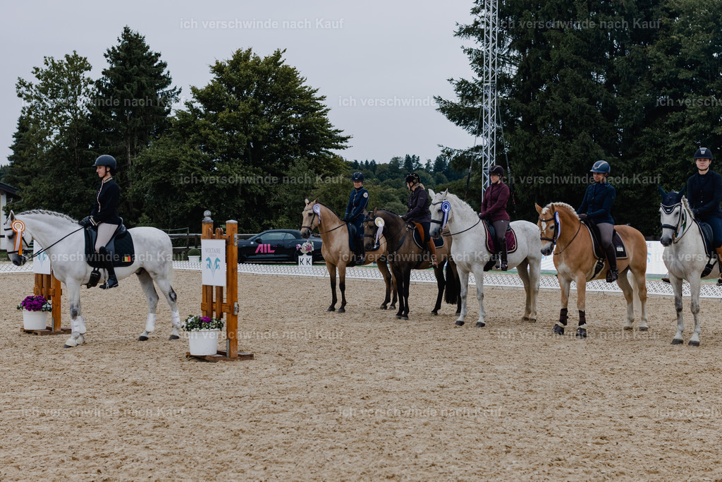 Katja7_FHC2025-12806 | working equitationturnier fotograf videograf stoibphotography marixx film working equitation deutschland reitsport turnierfotografie eventfotografie equestrian events