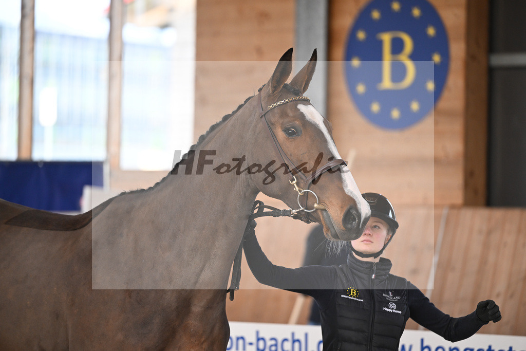 Kat-Nr. 37 Agana Filippa Z v. Aganix Du Seigneur_Schwendinger_14260904 | hf-fotografie - Realisiert mit Pictrs.com