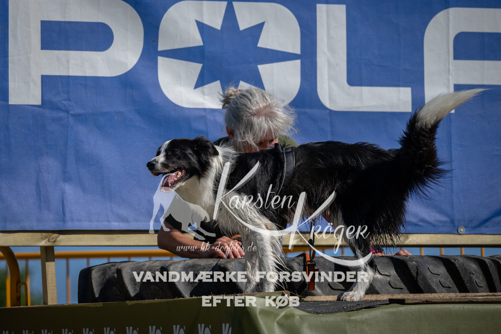 1117_ZZ91073 | kk-dogfotos