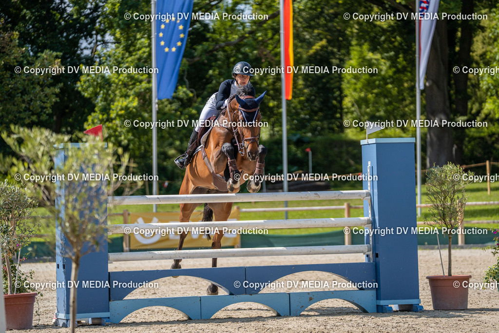 Hessische Tag 1-1620 | dv-media-shop - Realisiert mit Pictrs.com