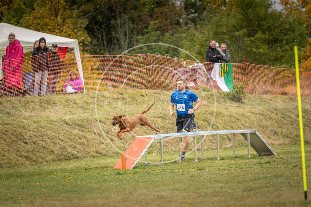 Pfotenfotografie_DV3A5717 | Hundefotografie, Tierfotograf, Pfotenfotografie, Fotoshooting Hund, Hunde Portrait, Hundesport, Hundeportraits, Heideshooting, Hunde, Sportfotograf, Hundefotograf, Turnierhundsport, THS,  - Realisiert mit Pictrs.com