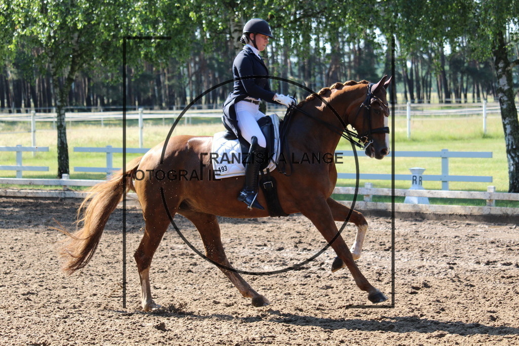 IMG_6428 | franziskalange - Realisiert mit Pictrs.com