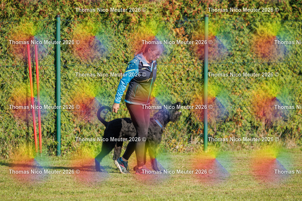 Thomas_Nico_Meuter(C)_27. September 2026_223A1345 | Bild von Thomas Nico Meuter - Realisiert mit Pictrs.com