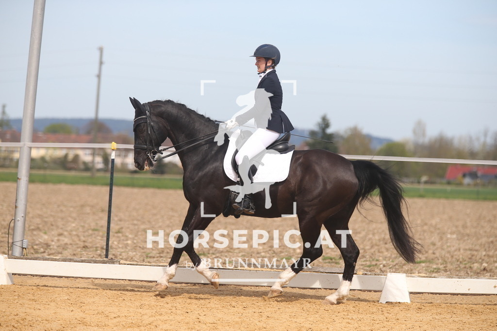 AS8V5594 | Willkommen bei Brunnmayr - Design & Fotografie – Ihrem Spezialisten für Reitturniere und Pferdeveranstaltungen in Oberösterreich, Salzburg und Bayern! Seit über 17 Jahren sind wir leidenschaftlich dabei.