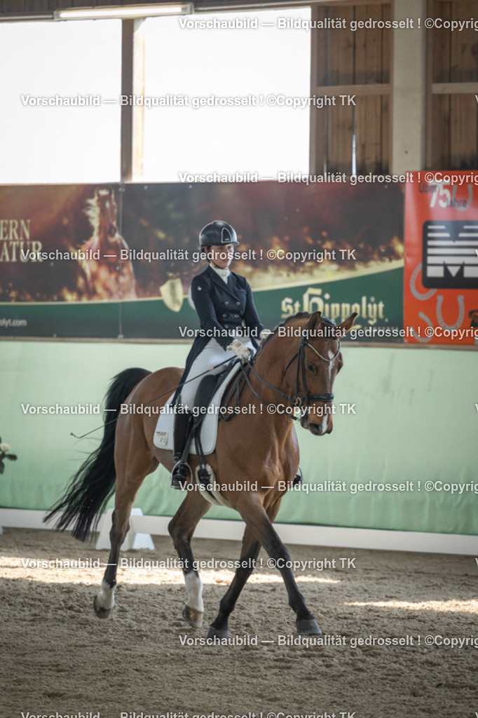 _D5A0039 | Emotionale Pferde- & People-Fotografie rund um Heidelberg, Leimen & Umgebung. Natürliche Fotos von Pferd, Mensch & Familie. Jetzt Termin sichern!