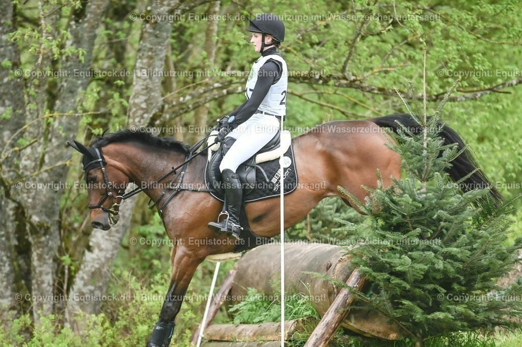 20230513_CCI2_Section2_Gelände_0201 | equistock