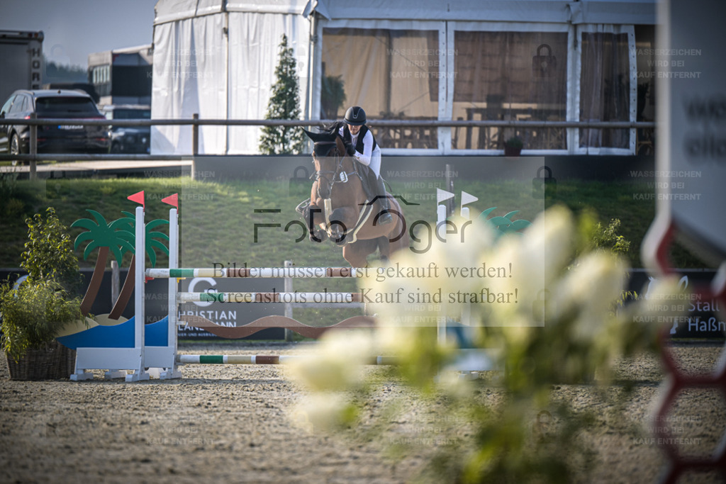 DOS_1127 | Entdecke hochwertige Reitturnierfotos von Foto Oger. Professionell, emotional und authentisch – jetzt Lieblingsmomente im Shop bestellen. - Realisiert mit Pictrs.com