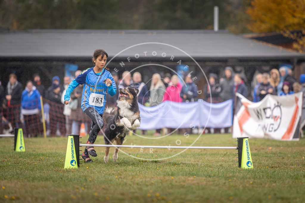 Pfotenfotografie_DV3A9675 | Hundefotografie, Tierfotograf, Pfotenfotografie, Fotoshooting Hund, Hunde Portrait, Hundesport, Hundeportraits, Heideshooting, Hunde, Sportfotograf, Hundefotograf, Turnierhundsport, THS,  - Realisiert mit Pictrs.com