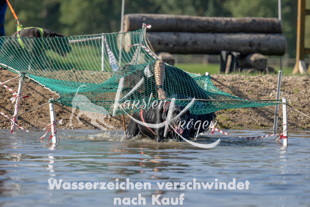 1122_ZZ92639 | kk-dogfotos