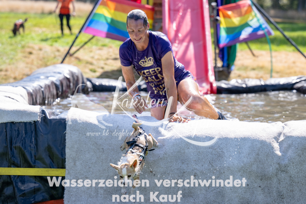 1416_ZZ94190 | kk-dogfotos