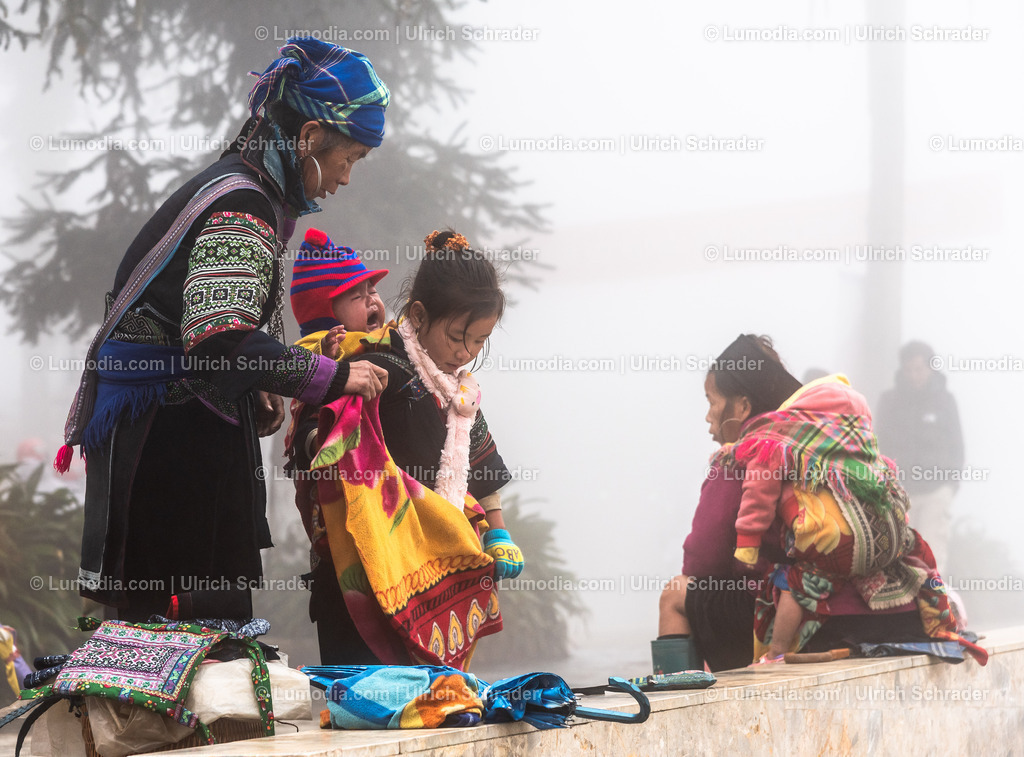 202510-126 | Stockfoto und Bilderpool mit Bildmaterial aus Deutschland, dem Harz, Halberstadt, Quedlinburg, Wernigerode und weltweit. Qualitativ hochwertige und professionelle Fotos anschauen und kaufen. - Realisiert mit Pictrs.com