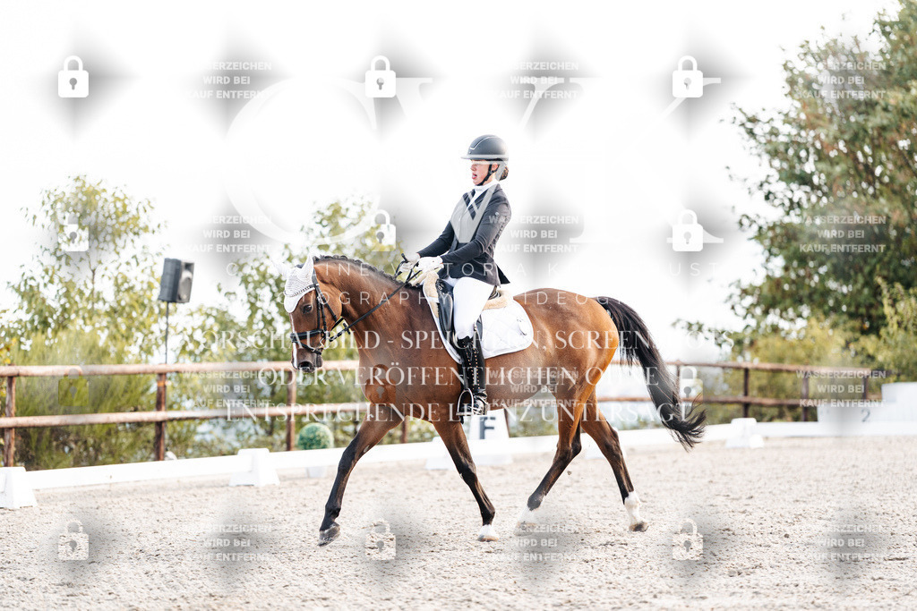 CK900416 | Turnierfotografie Pferdefotografie Trier Rheinland-Pfalz Pferdesport Reitsport Tierfotografie Sportfotografie Pferdevideo Pferdevideografie Equestrianvideography equestrianphotography  - Realisiert mit Pictrs.com
