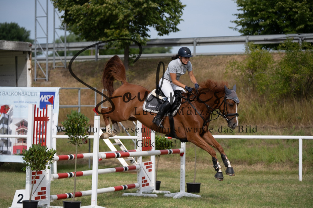 A7V01411 | Pferdefotograf